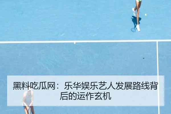 hei-liao-chi-gua-wang-le-hua-yu-le-yi-ren-fa-zhan-lu-xian-bei-hou-de-yun-zuo-xuan-ji-1-105.jpg